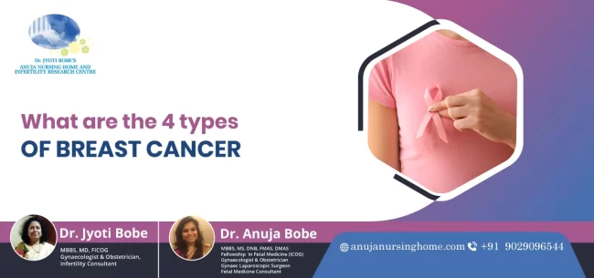 What are the 4 Types of Breast Cancer