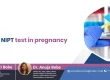 What is the NIPT Test in Pregnancy