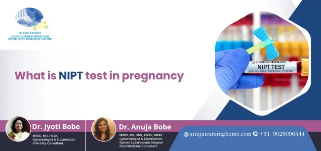 What is the NIPT Test in Pregnancy