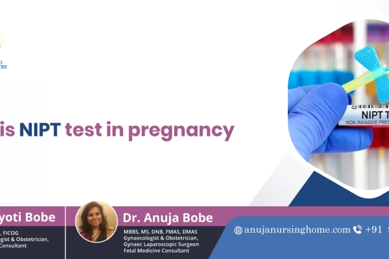 What is the NIPT Test in Pregnancy