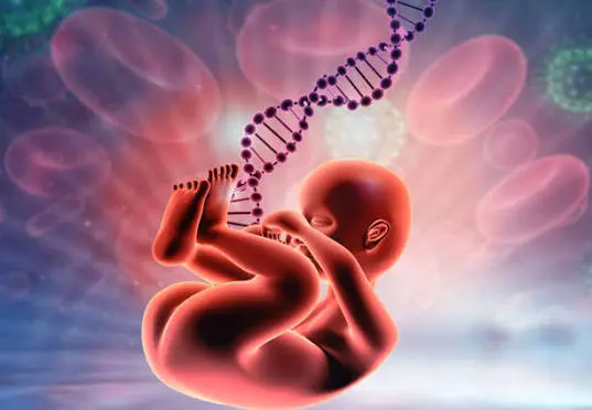 Fetal Medicine & Genetic Consultation